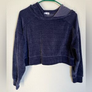 🌸Stitch & Pine Cropped Hoodie